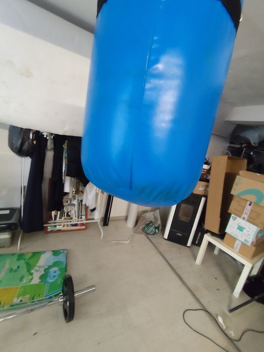 Боксова круша Petra