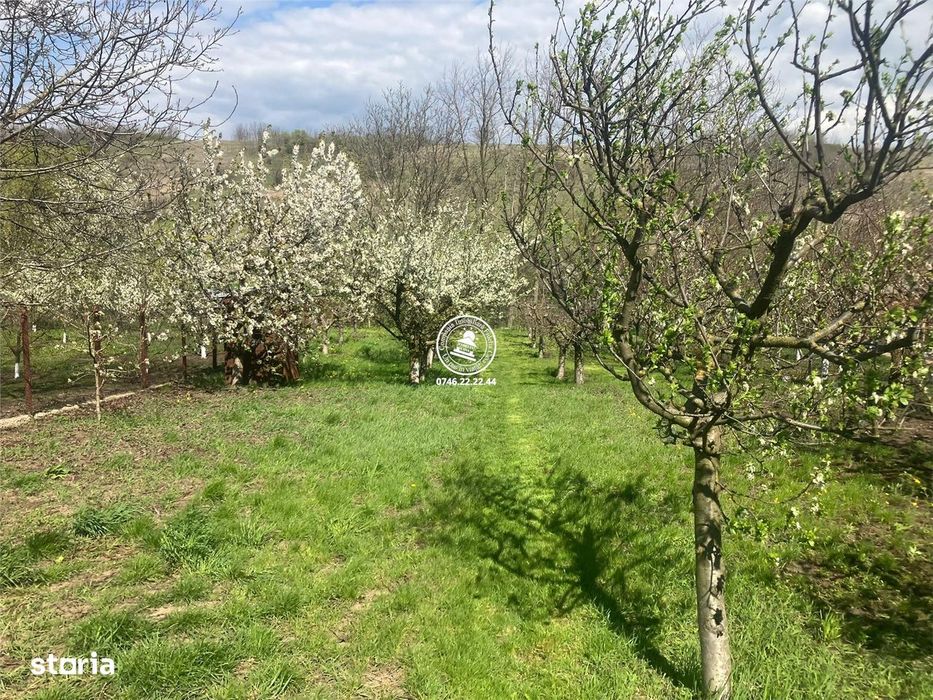 Vila de vanzare, Holboca, Ruseni