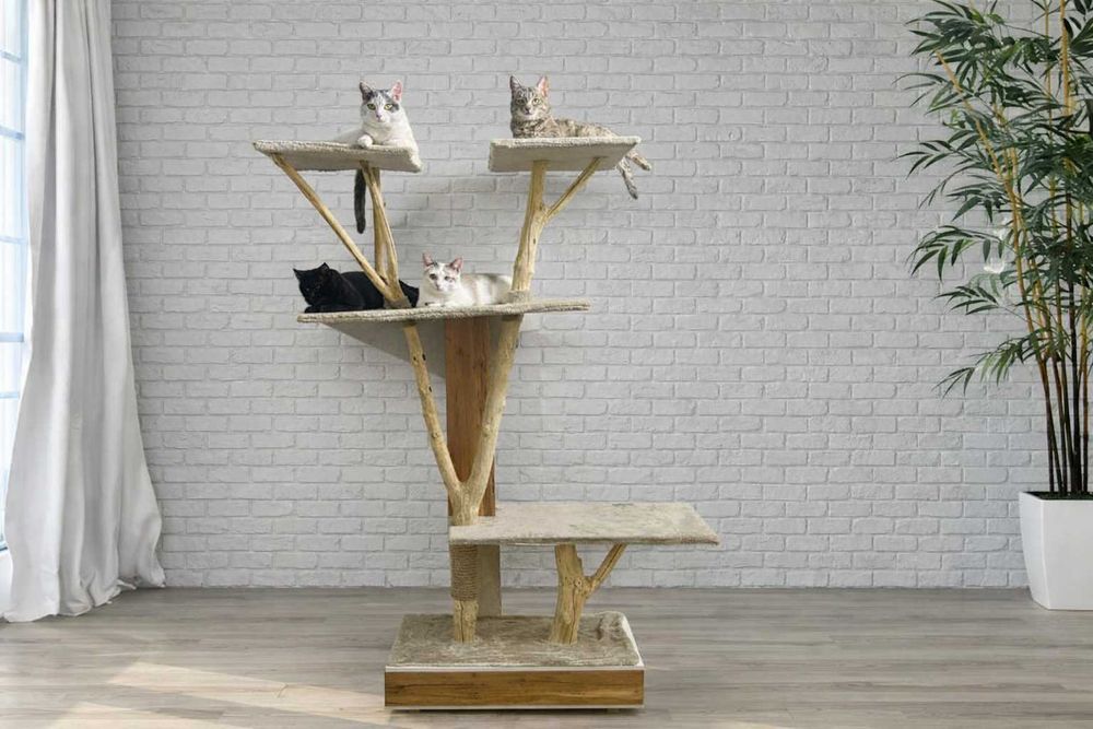 Когтеточка дерево для кошек