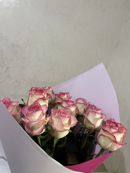 Цветы розы свежие