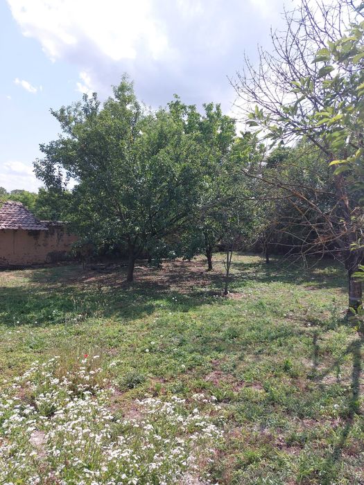 Продава се Къща в с. Масларево, Област Велико Търново - 65 кв.м за 583 €/кв.м - Снимка #11