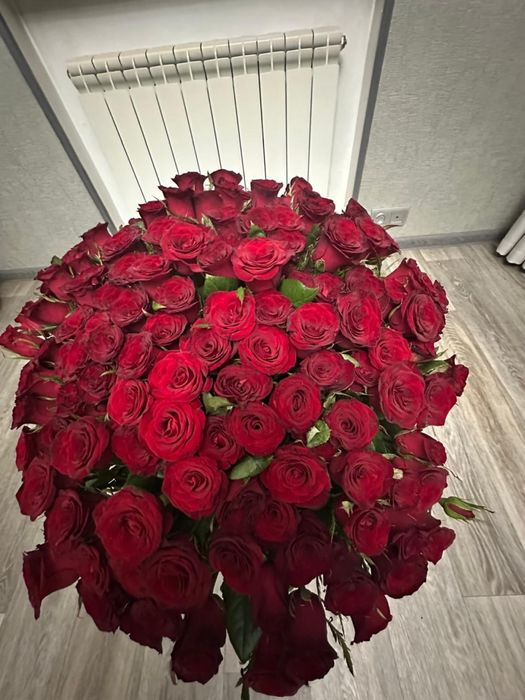 Букет роз 151 роза