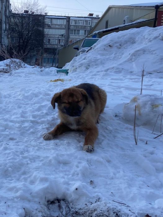 Дружные, весёлые, неразлучные.