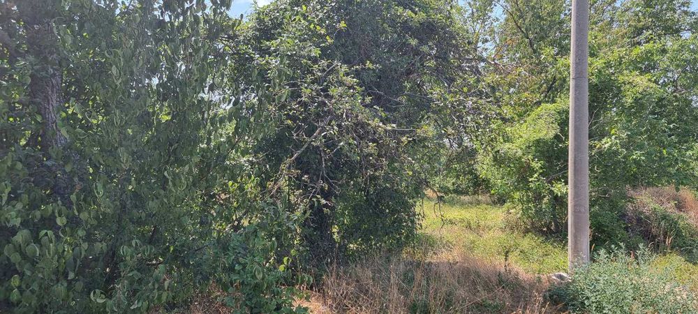 556-Продава се парцел с площ от 800 кв.м. в местността "Обзор"