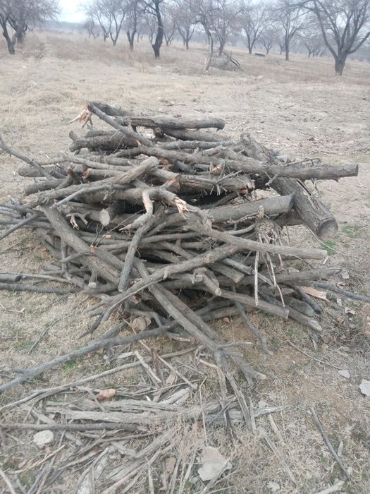 O'tin sotiladi arzon narxda