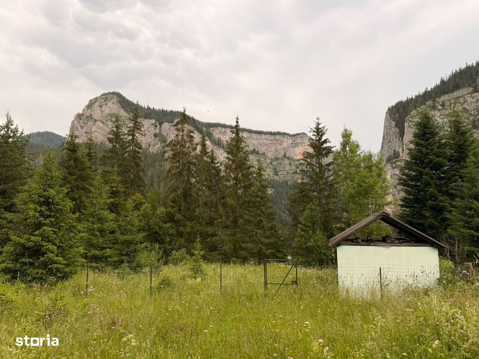 Teren intravilan de vânzare în Lacu Roșu – panoramă spectaculoasă