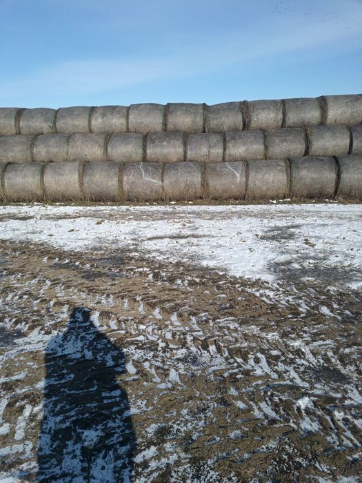 Baloți de fân și de paie