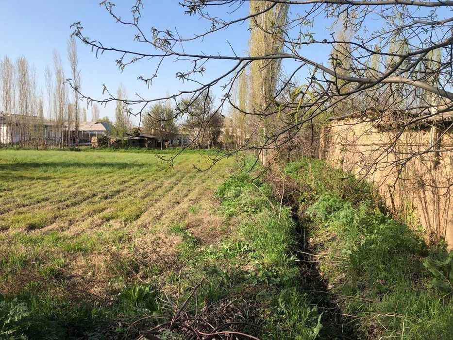 Yer sotiladi toytepada , dacha 25sotx