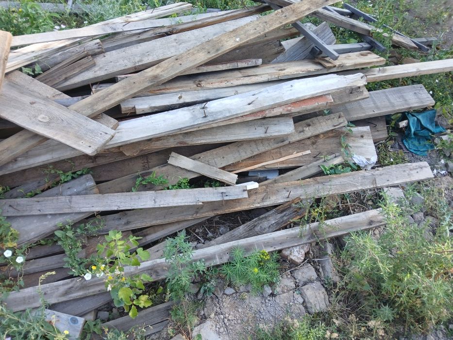 Әртүрлі ағаштар  30000тг