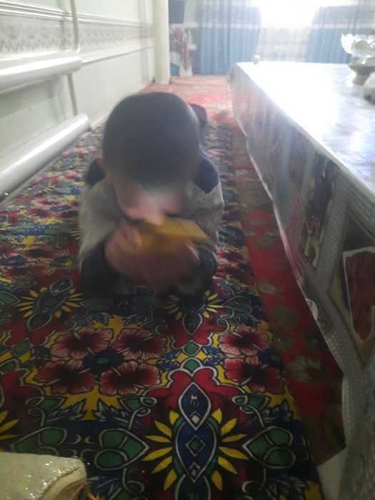 Samsung A51 holati 10/6 murojat uchun behruz883