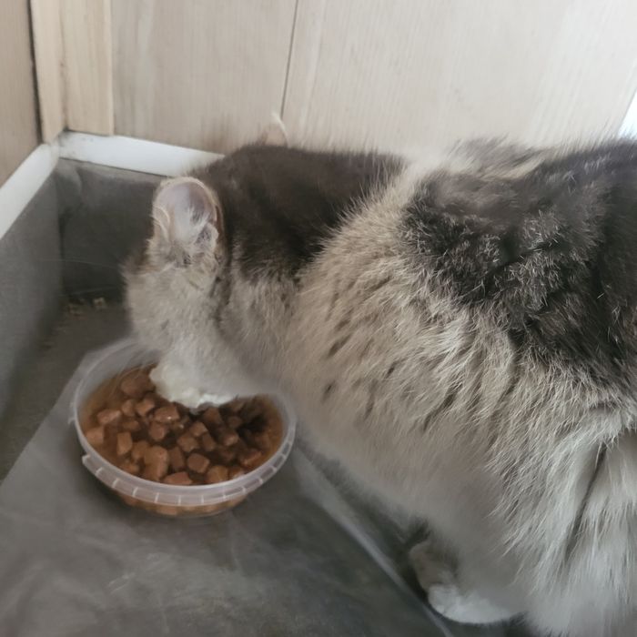 Подарите мне дом!