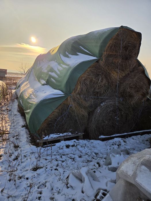 Baloti de fan si de paie 120×120