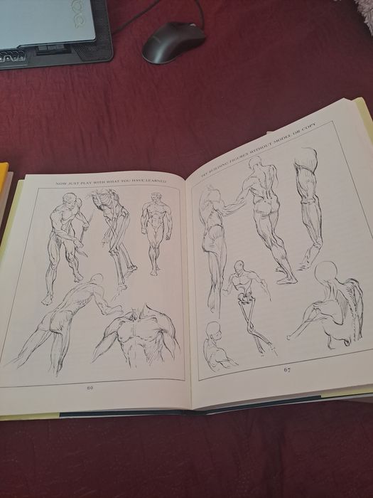 Pachet Carti Andrew Loomis: Figure Drawing for All It's Worth + Drawing the Head and Hands