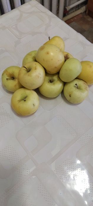 Яблоки дачные лимонка ароматные