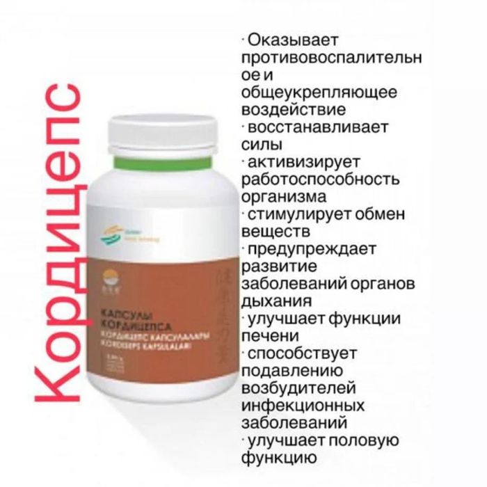 Silkway компания