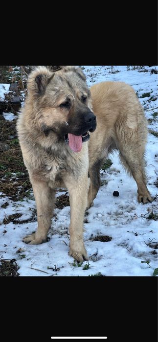 Обмен предлогайте