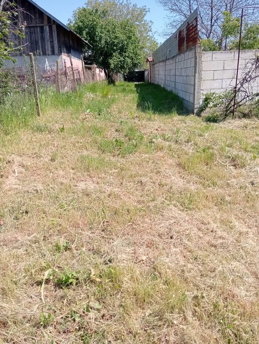 Vand in pielesti dolj la primarie