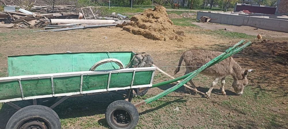 Есек арба сатылады