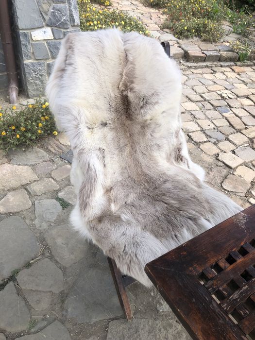 Blanita naturala ren!