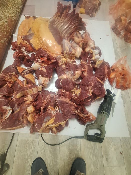 Касапшы (распил туш)