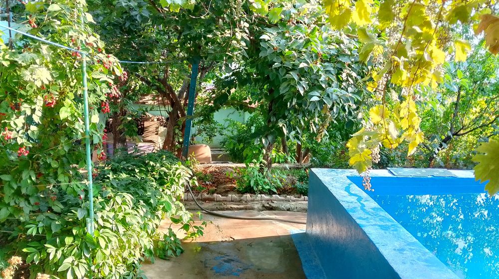 Продается дача! В чарваке