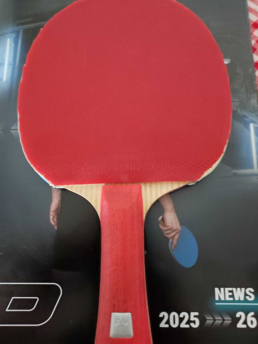 Paleta Tenis de Masa