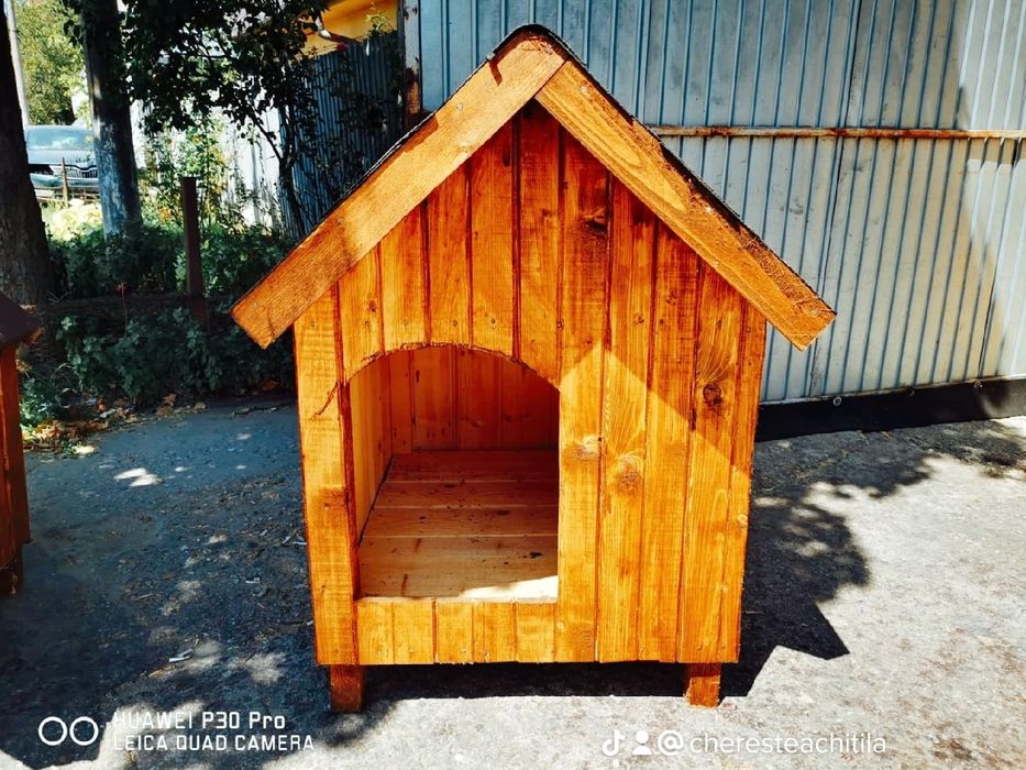 Coteț câine Chitila