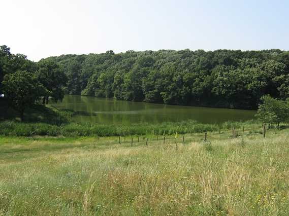 vanzare teren branesti