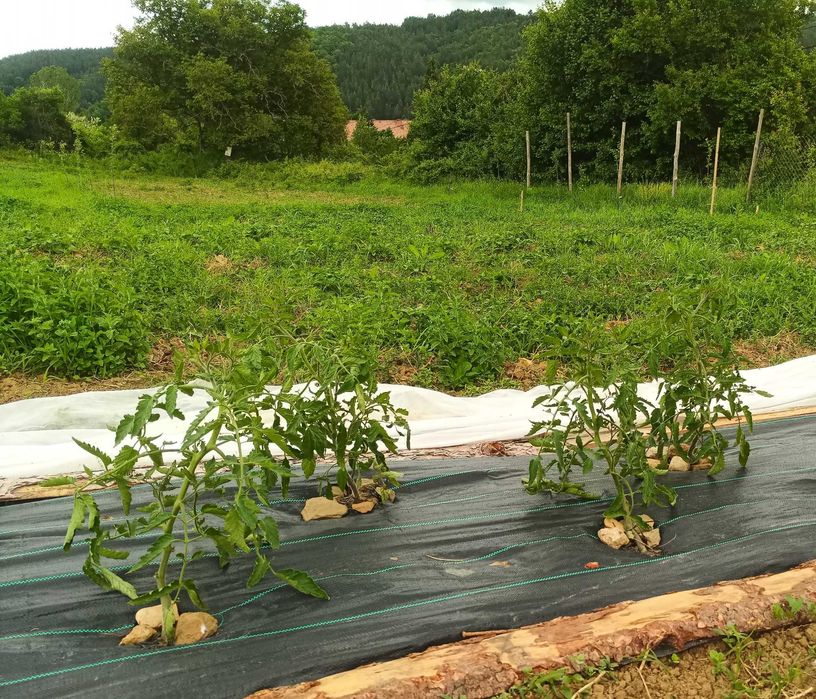 Продава се Земеделски имот в с. Згурово, Област Кюстендил -  кв.м за 3825 €/дка - Снимка #7