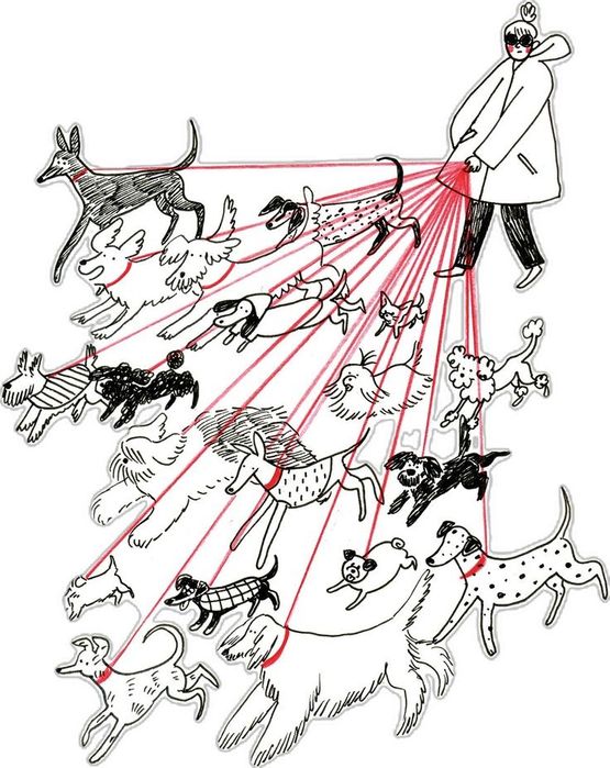 Выгуливаем ваших питомцев