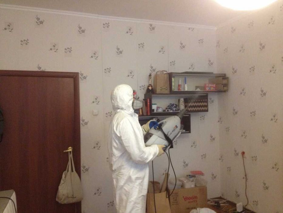Dezinfeksiya Дезинфекция бурга илон чаён кана клоп таракан