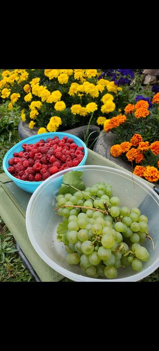 Дом 5 комнат, 80м2, 10 соток