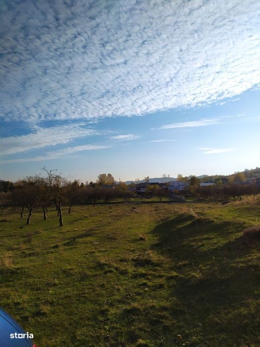 Proprietar Teren intravilan DE VÂNZARE Campina-PH (negociabil)