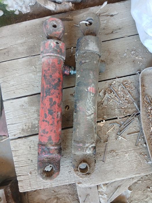 Daychi selkaga zapchaslar bor