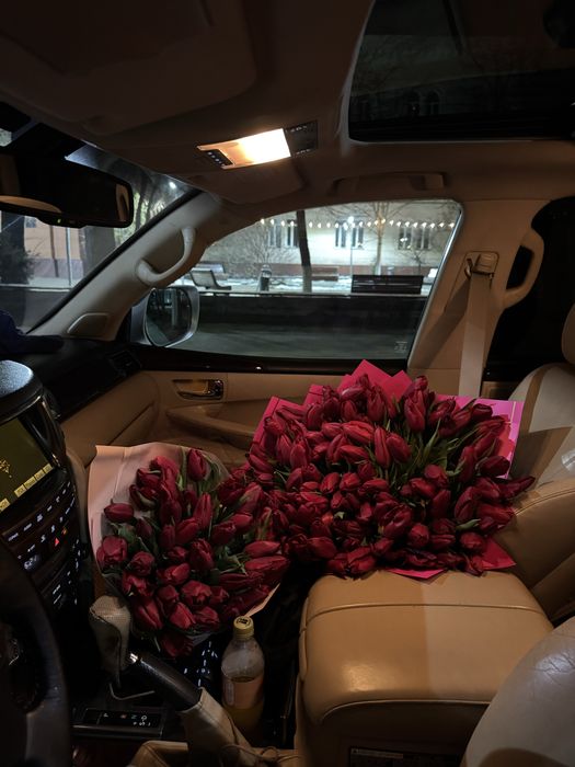 Цветы тюльпан / 101шт , 41шт