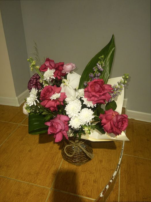 Продаю цветы дешёво