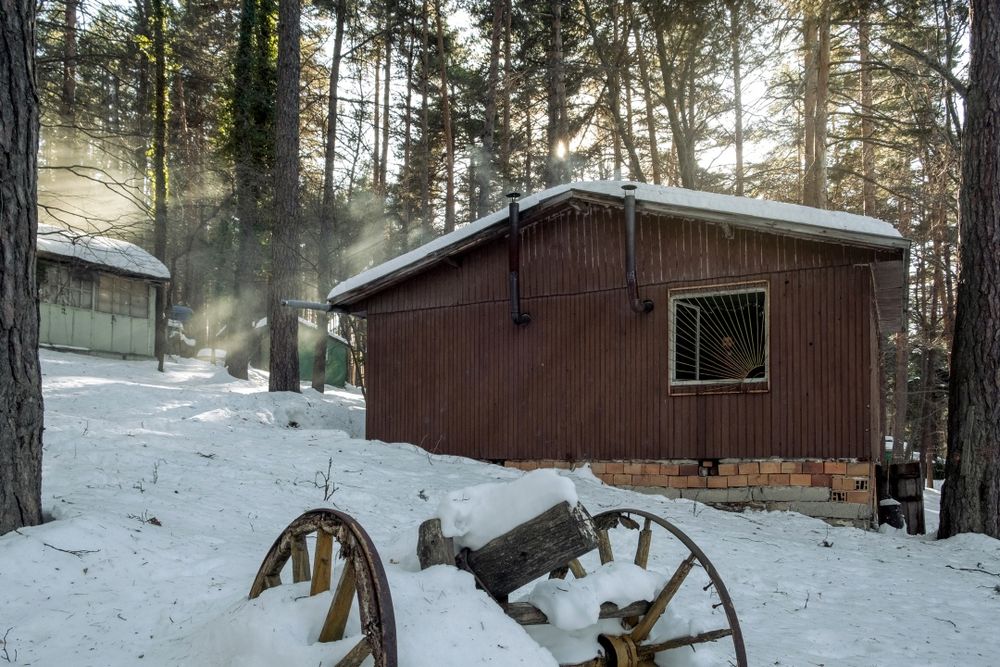 Дава се под наем Парцел в с. Гълъбово, Област Пловдив - 100 кв.м за 255 € - Снимка #4