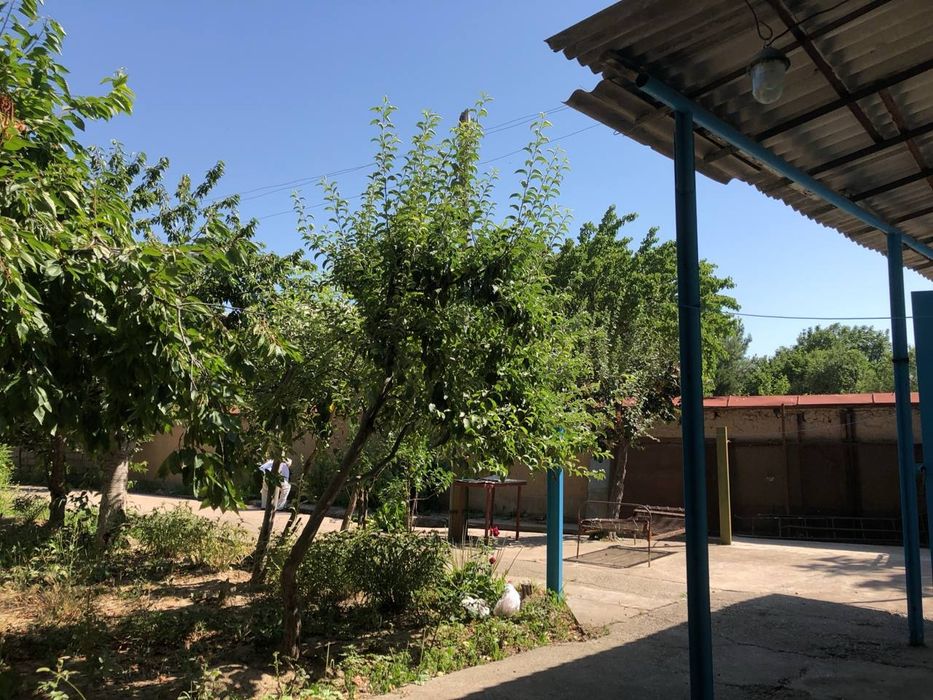 Своя Дача 9,5 сот, прохладная локация у речки Зах арык,за пос. Улугбек