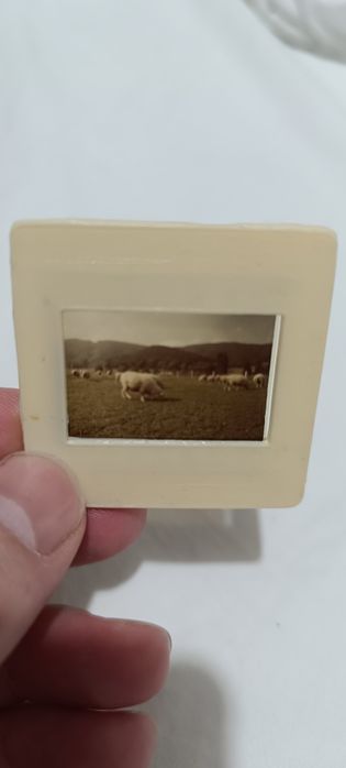 Colecție de 8 diafilme