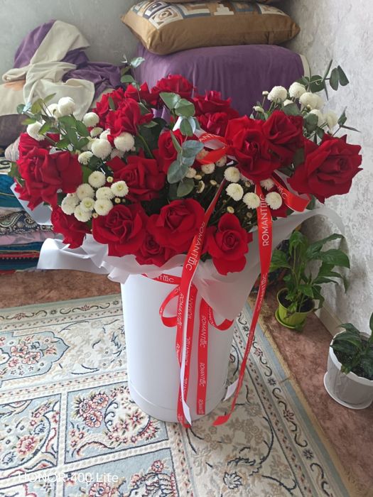 Кеше тунде гана алынды свежие бооып тур срочна