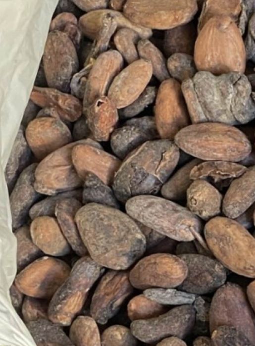 Boabe cacao origine Peru ecuador