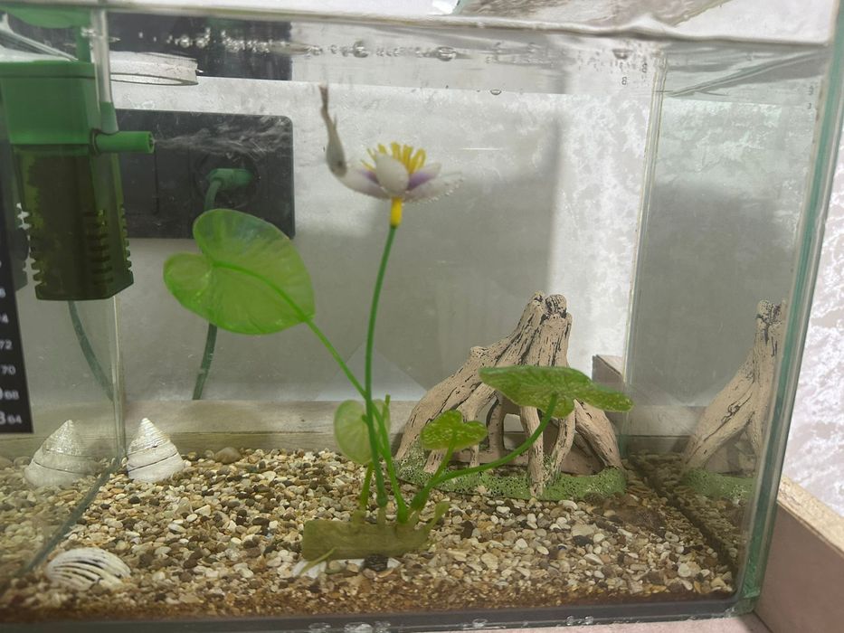 Продам 20 литровый аквариум