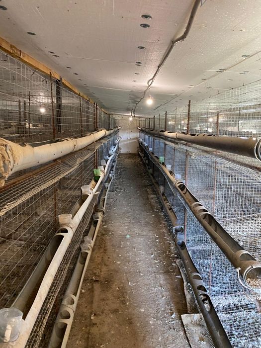 Продам клетки для курей на 2000 голов