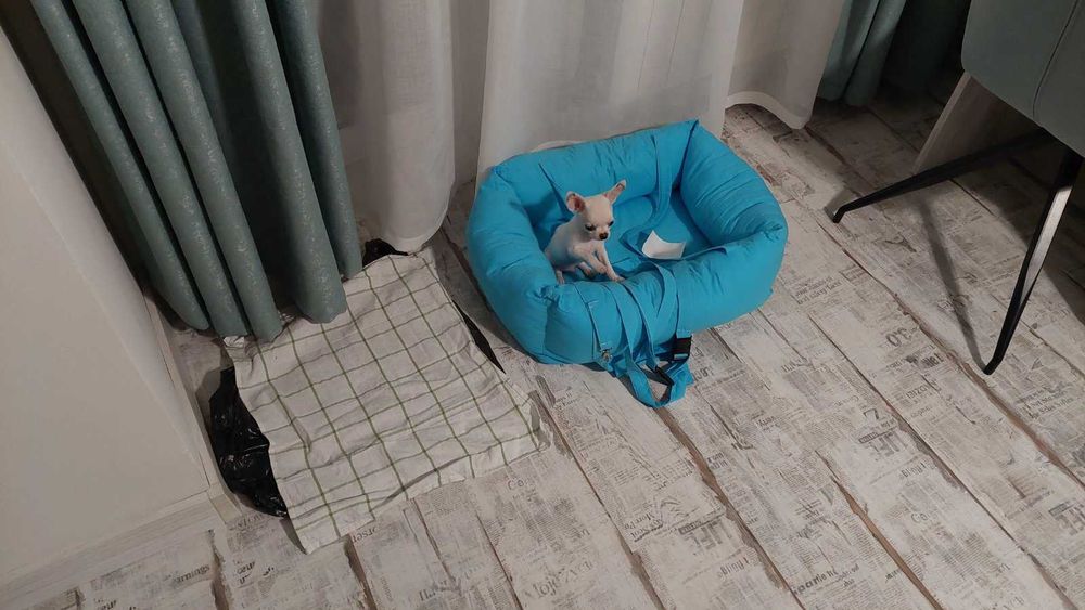 Легло (столче) за автомобил за куче