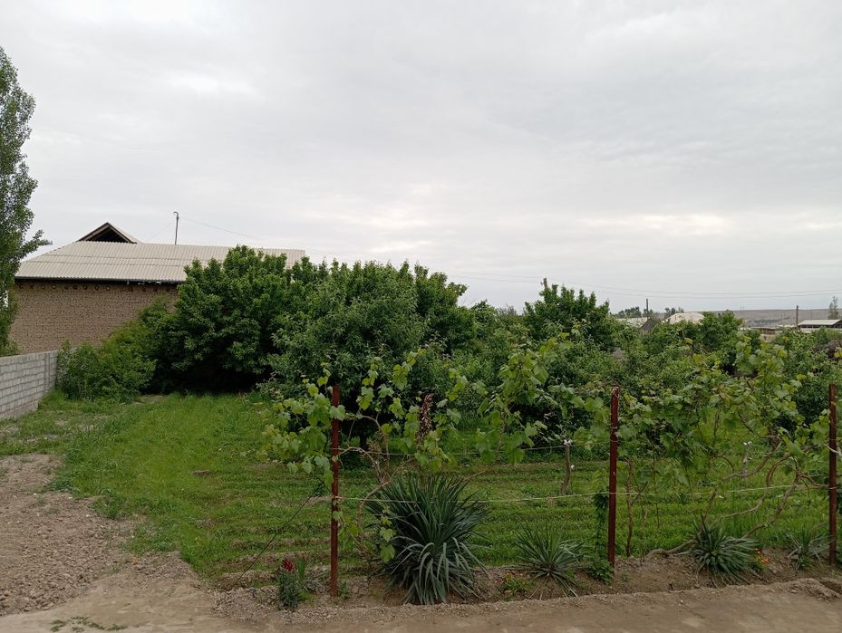 8сотихлик ер майдон сотилади