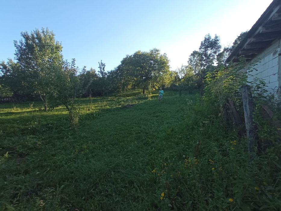 Teren intravilan 1000 mp