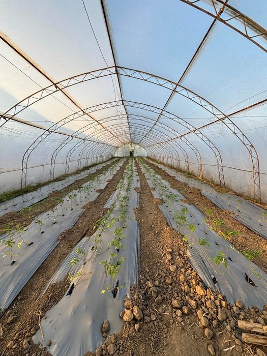 Продавам оранжерии и инвентар