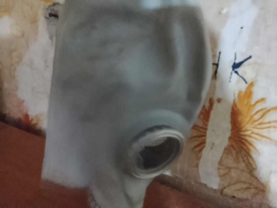 Противогаз гп-5 и гп-5м с фильтром