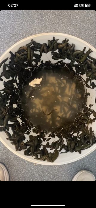 качественные пиявки