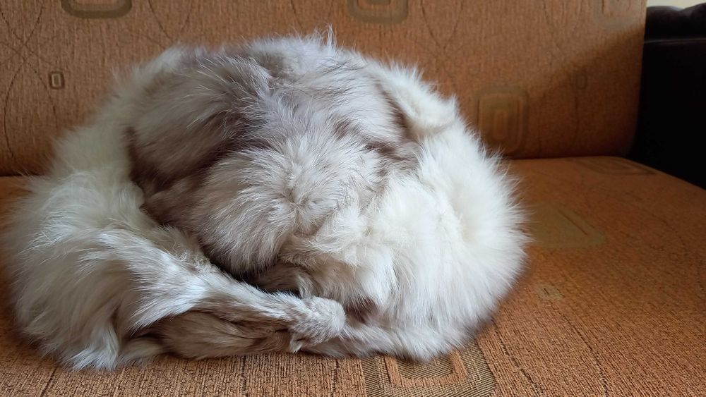 Caciula si Guler BLANA NATURALA, separat sau impreuna